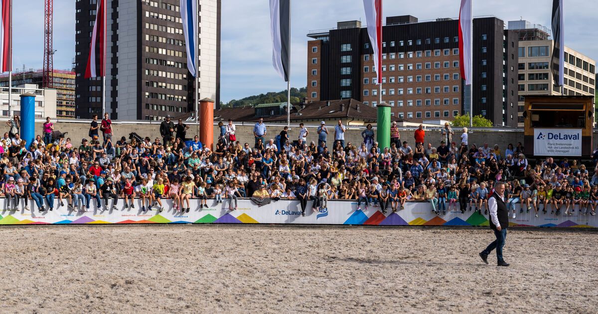 Impressionen OLMA Schweizer Messe für Landwirtschaft und Ernährung